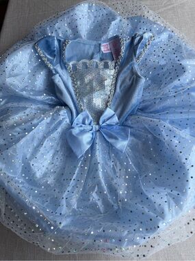 Princess Costume Dress